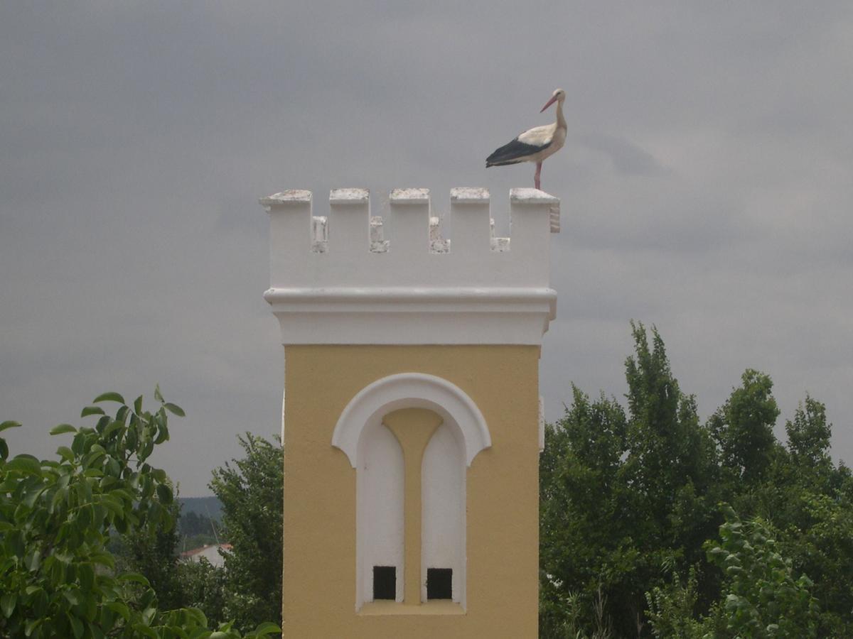 Willa Quinta De Coalhos Th Abrantes Zewnętrze zdjęcie