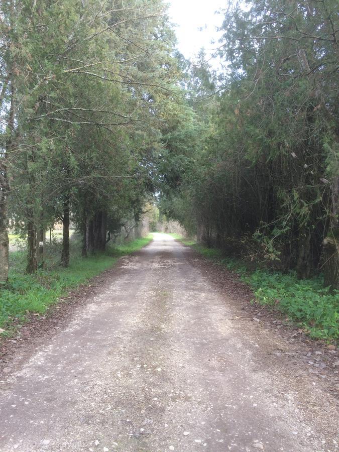 Willa Quinta De Coalhos Th Abrantes Zewnętrze zdjęcie